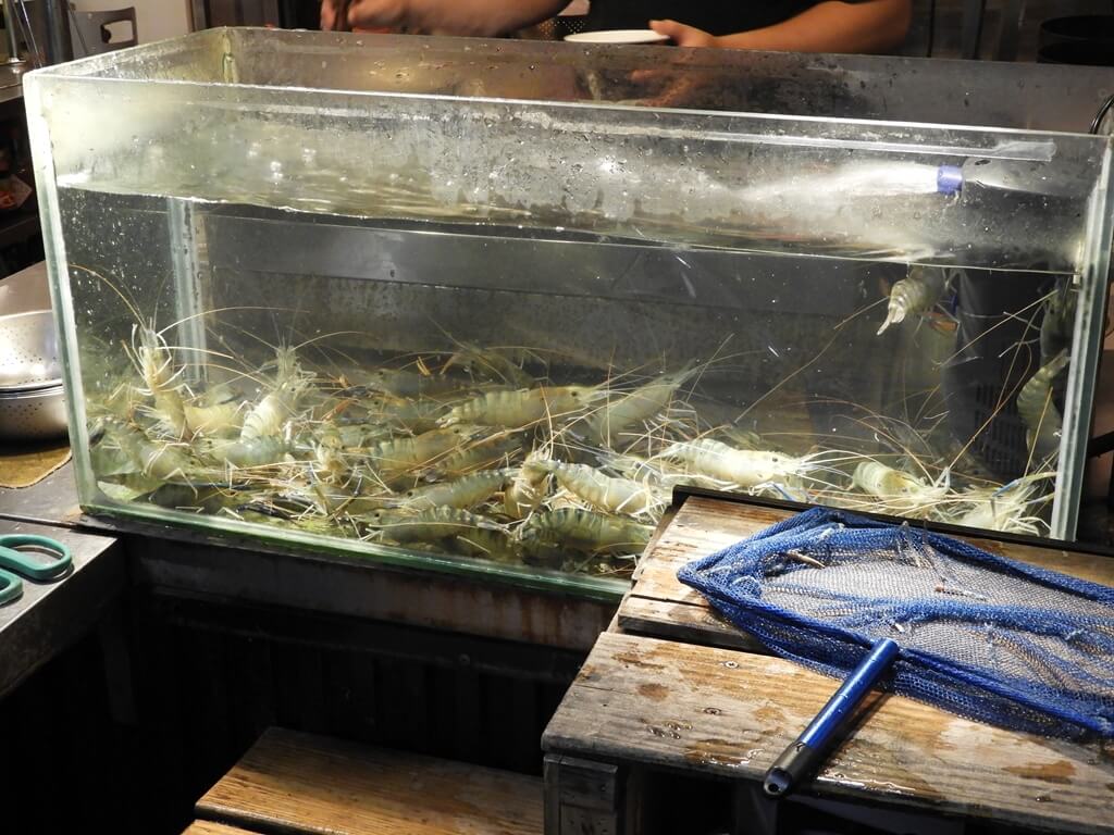 板橋湳雅觀光夜市（南雅夜市）的圖片：一品活蝦的水族箱特寫