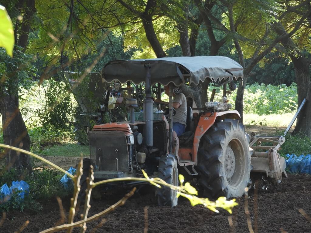 青林農場的圖片：青林同場旁的農田剛好有耕耘機在耕田