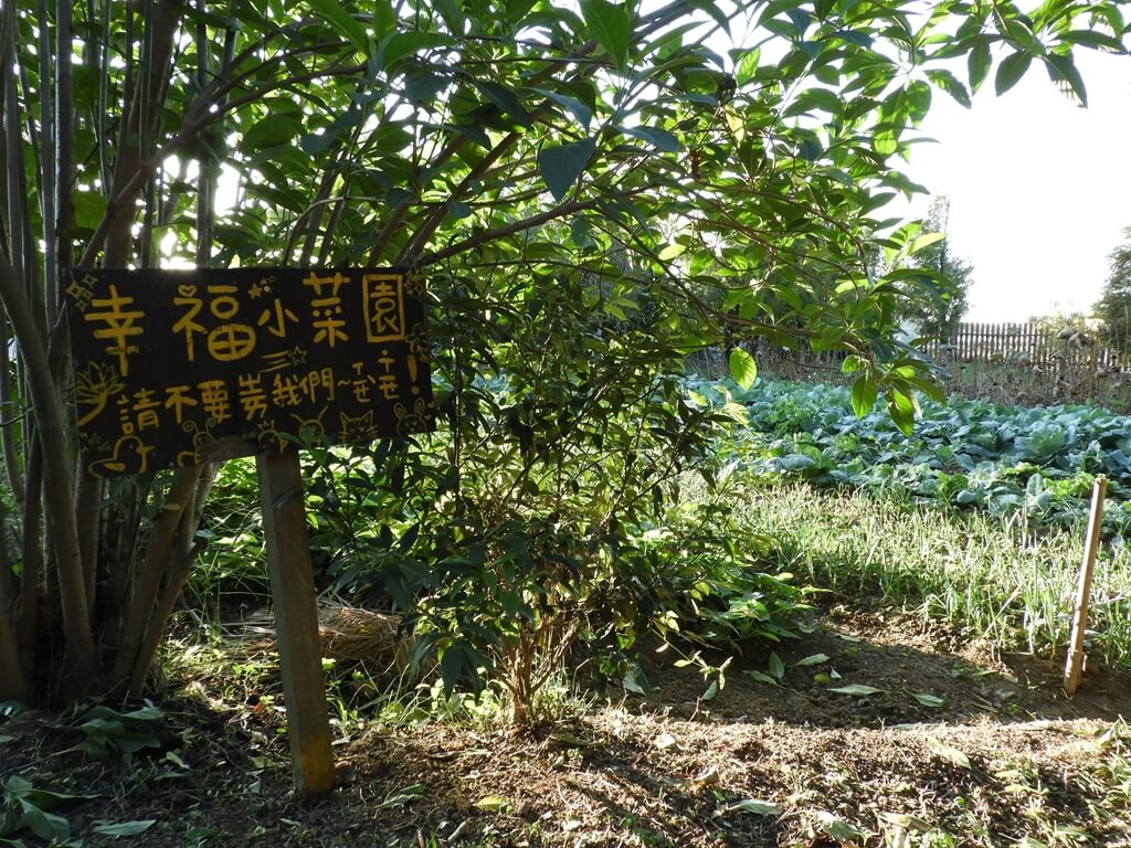 林家古厝休閒農場的圖片：幸福小菜園以及請勿摘菜告示板