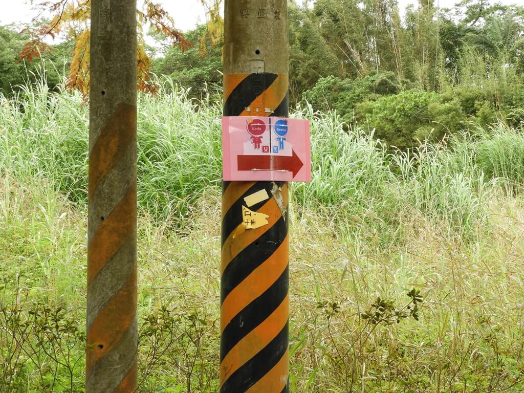 大溪落羽松大道的圖片：電桿上的公廁指標
