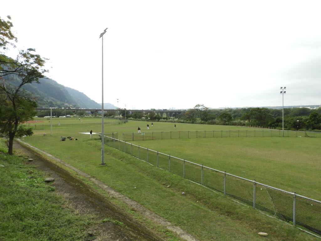 三鶯陶瓷河濱公園的圖片：綠草皮的壘球練習場
