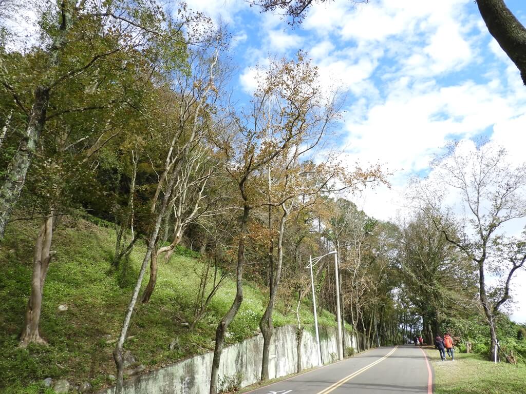 石門水庫風景區的圖片：賞楓大道（123657872）