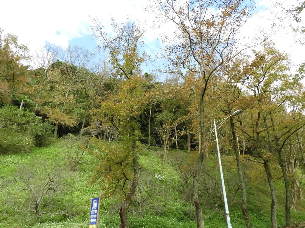 石門水庫風景區的圖片：山坡上的楓樹（123657880）