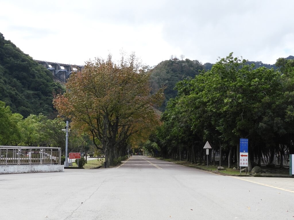 石門水庫風景區的圖片：通往大壩底的道路，左側為南苑停車場