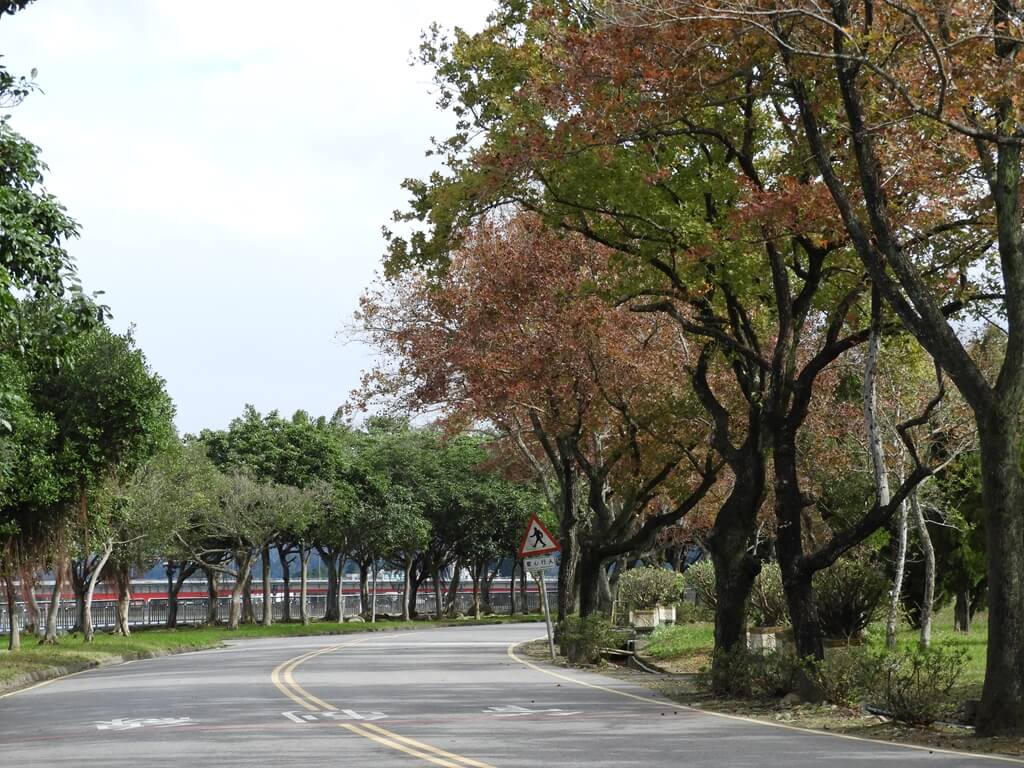 石門水庫風景區的圖片：南苑公園旁的楓樹（123657887）