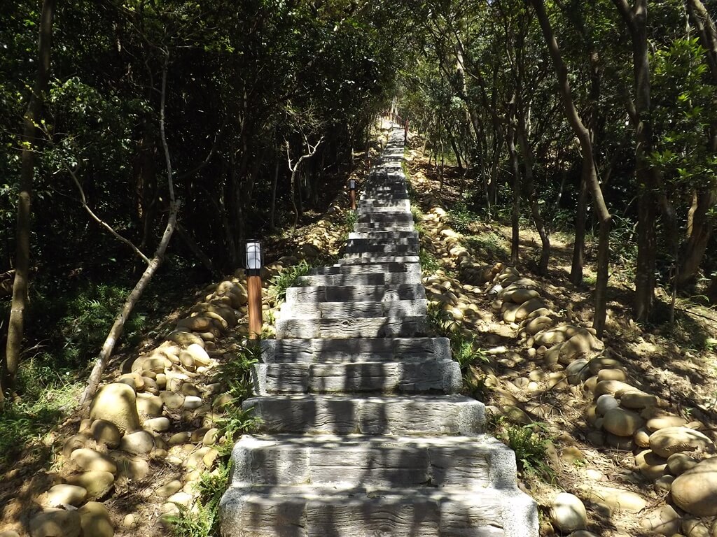 楊梅秀才登山步道的圖片：艷陽下的林間階梯步道（123657905）
