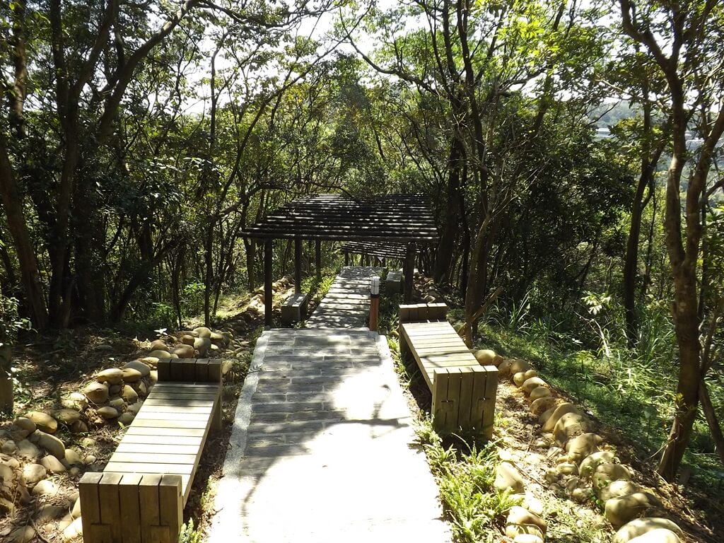 楊梅秀才登山步道的圖片：艷陽下的林間階梯步道（123657906）