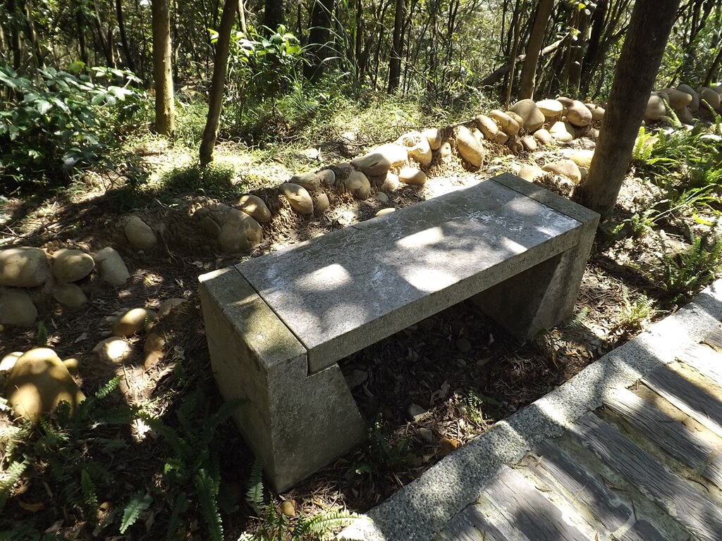 楊梅秀才登山步道的圖片：水泥步道旁的休息石椅
