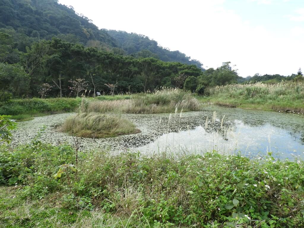 大溪山豬湖親水生態園區的圖片：水雲池（123657950）