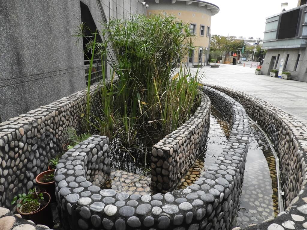 新北市客家文化園區的圖片：水池上端的水根植物
