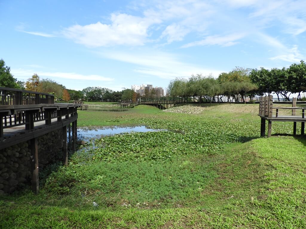 桃園1-4號生態埤塘的圖片：在木棧道上拍生態池