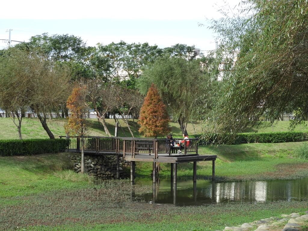 桃園1-4號生態埤塘的圖片：生態水池上的觀景台（123658099）