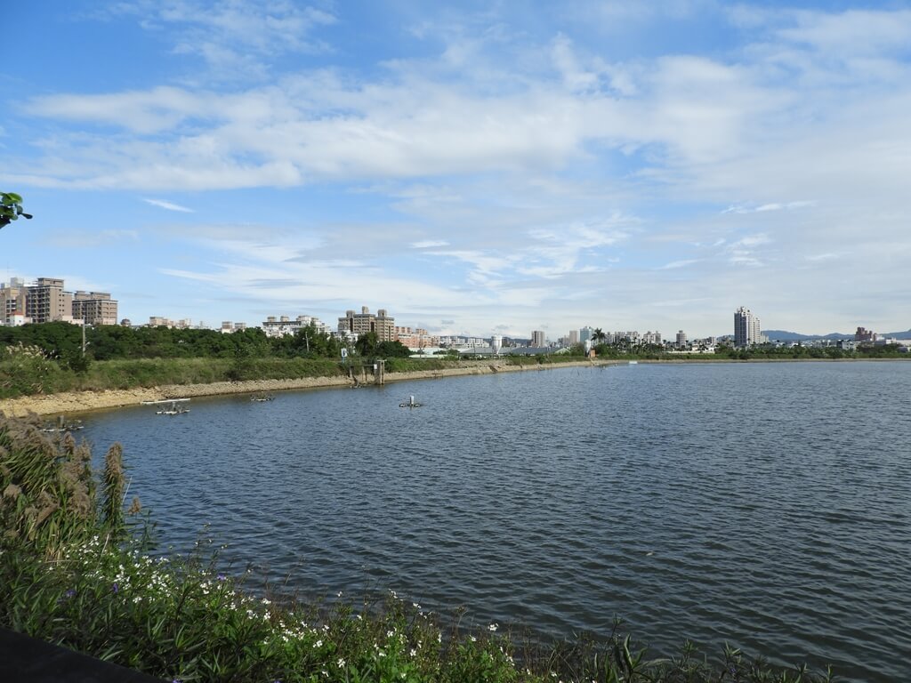 桃園1-4號生態埤塘的圖片：大埤塘（123658111）