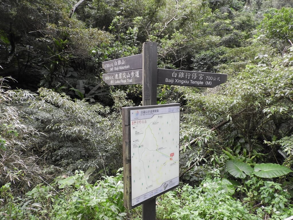 白雞山登山步道的圖片：登山步道及白雞行修宮路標