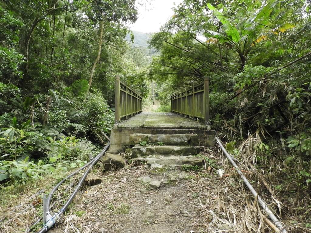 白雞山登山步道的圖片：白雞山步道的橋（123658237）