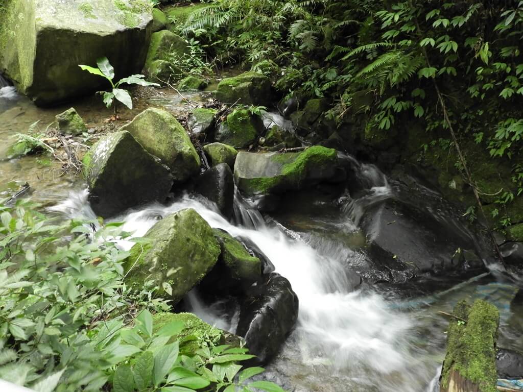 白雞山登山步道的圖片：清澈的山峽溪（123658245）