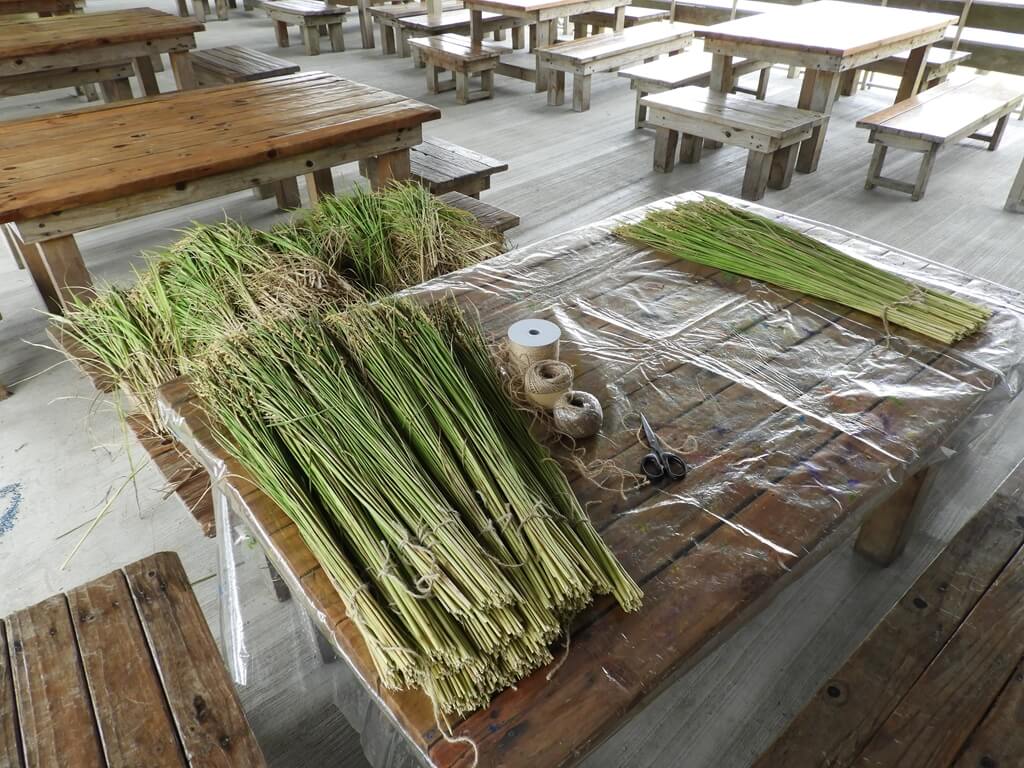 好時節農莊的圖片：準備拿來做手工的水稻