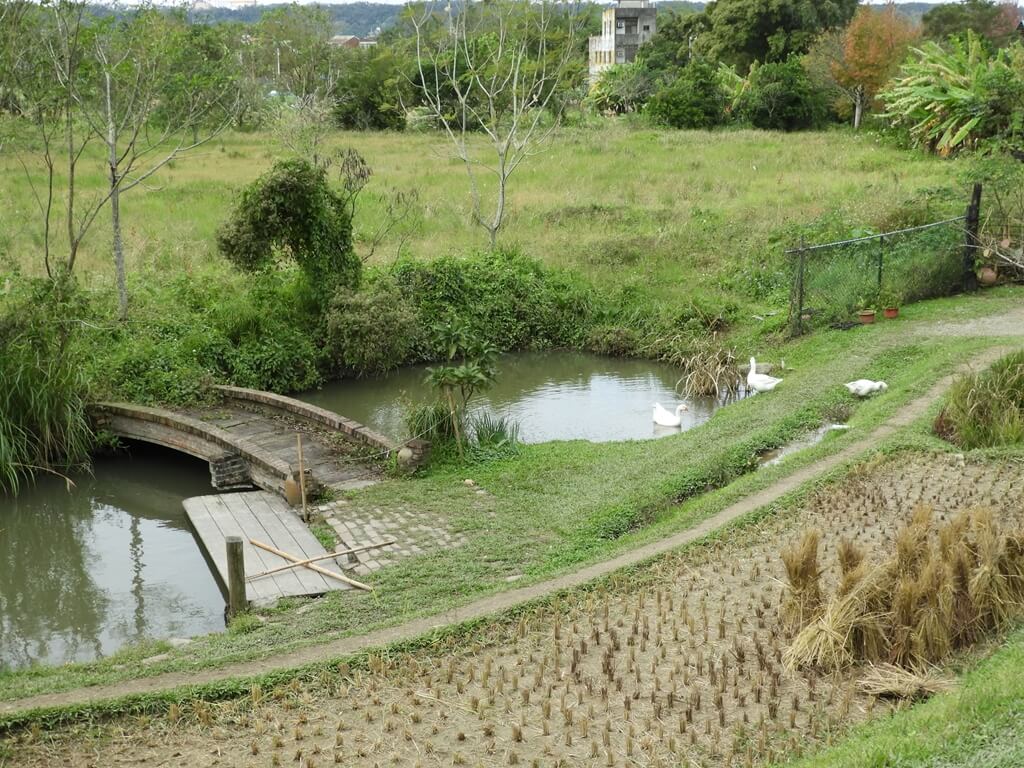 好時節農莊的圖片：水池與小橋