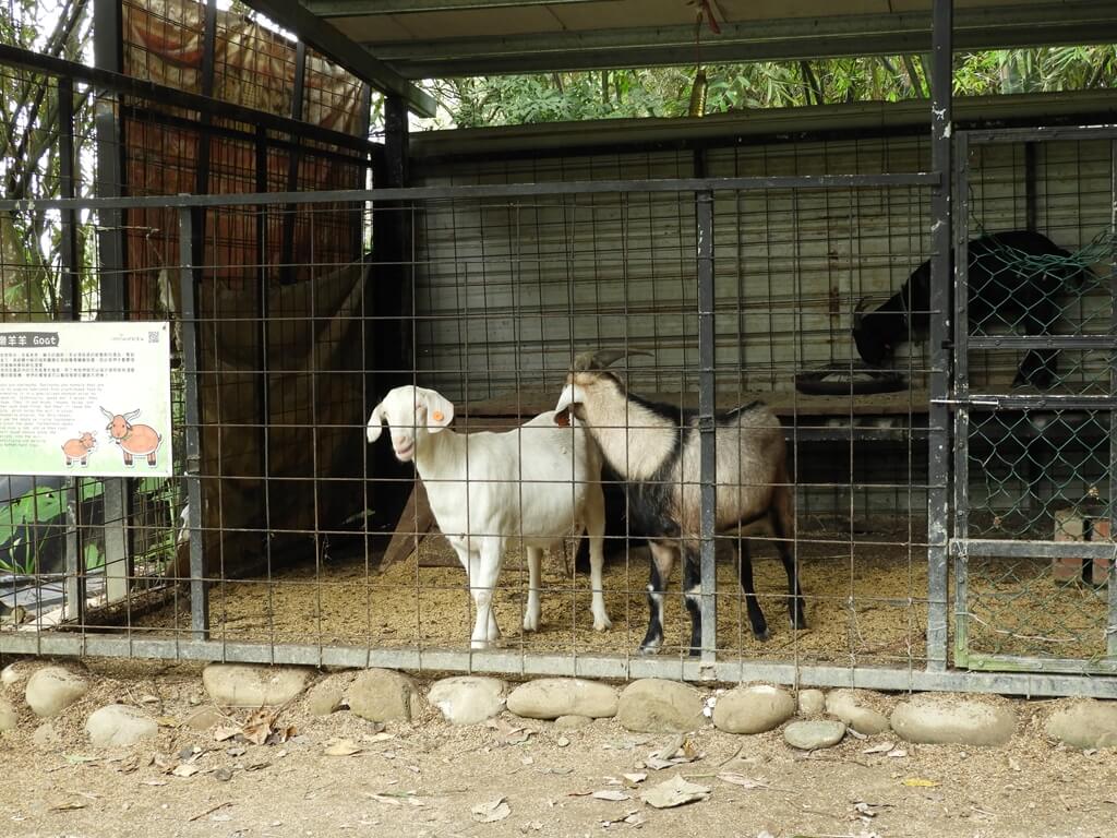 好時節農莊的圖片：樂羊羊