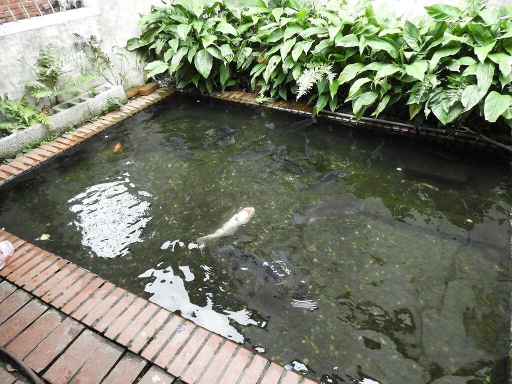 新瓦屋客家文化園區（保存區）的圖片：屋內魚池