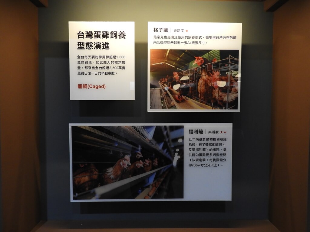 蛋寶生技不老村（結束營業）的圖片：台灣蛋雞飼養型態演進