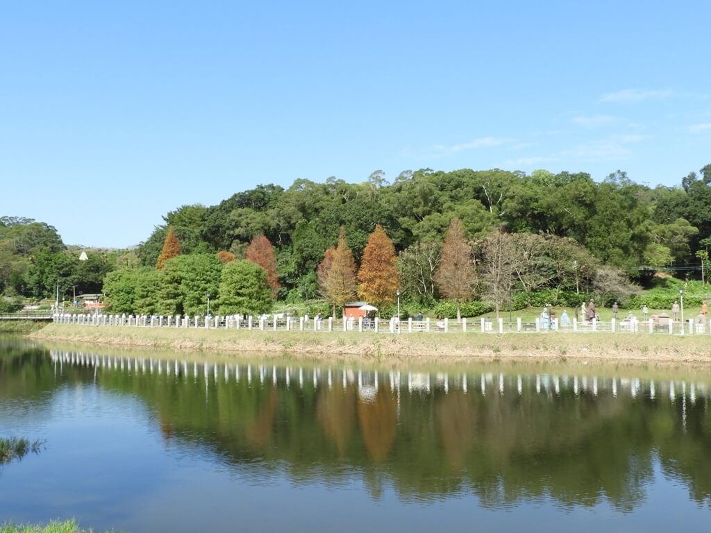 慈湖陵寢（前慈湖）的圖片：牛角南埤及對面的落羽松、山景