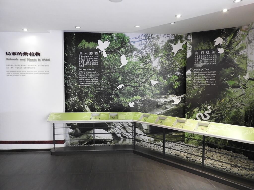 烏來泰雅民族博物館的圖片：烏來的動植物