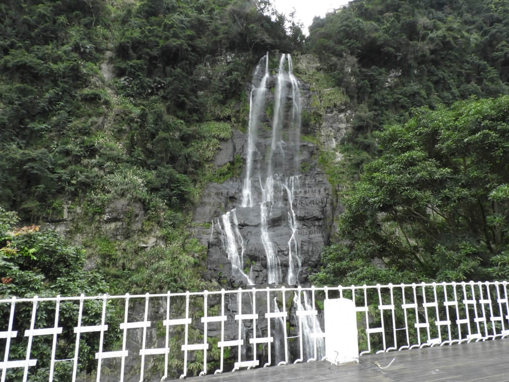 烏來瀑布的圖片：烏來瀑布（123659088）