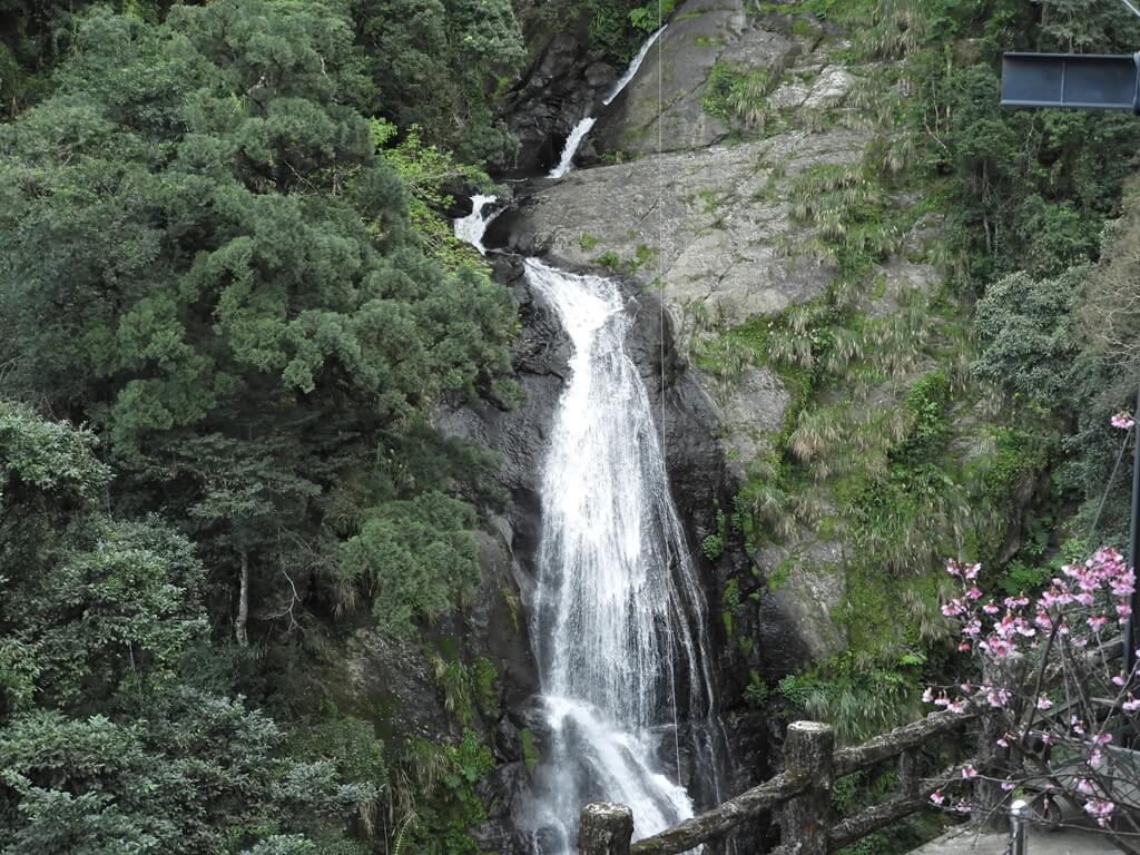 雲仙樂園的圖片：烏來瀑布上游雲仙樂園纜車站的小瀑布