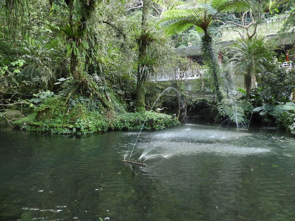 雲仙樂園的圖片：噴著水的魚池