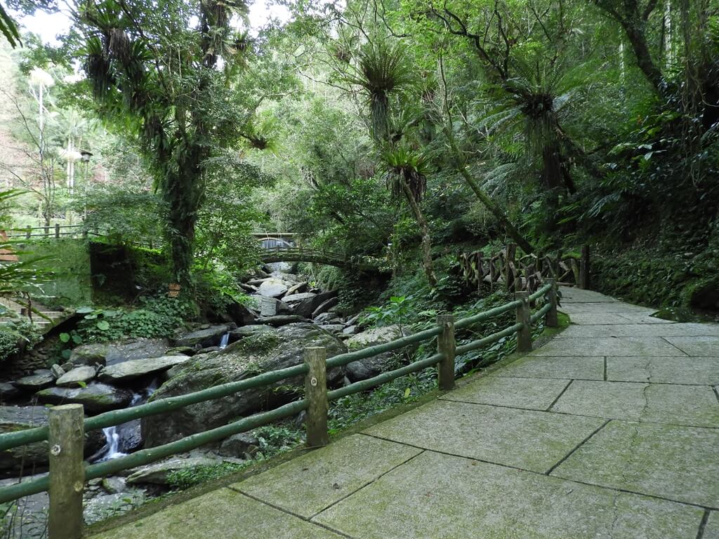 雲仙樂園的圖片：沿著南勢溪旁的步道