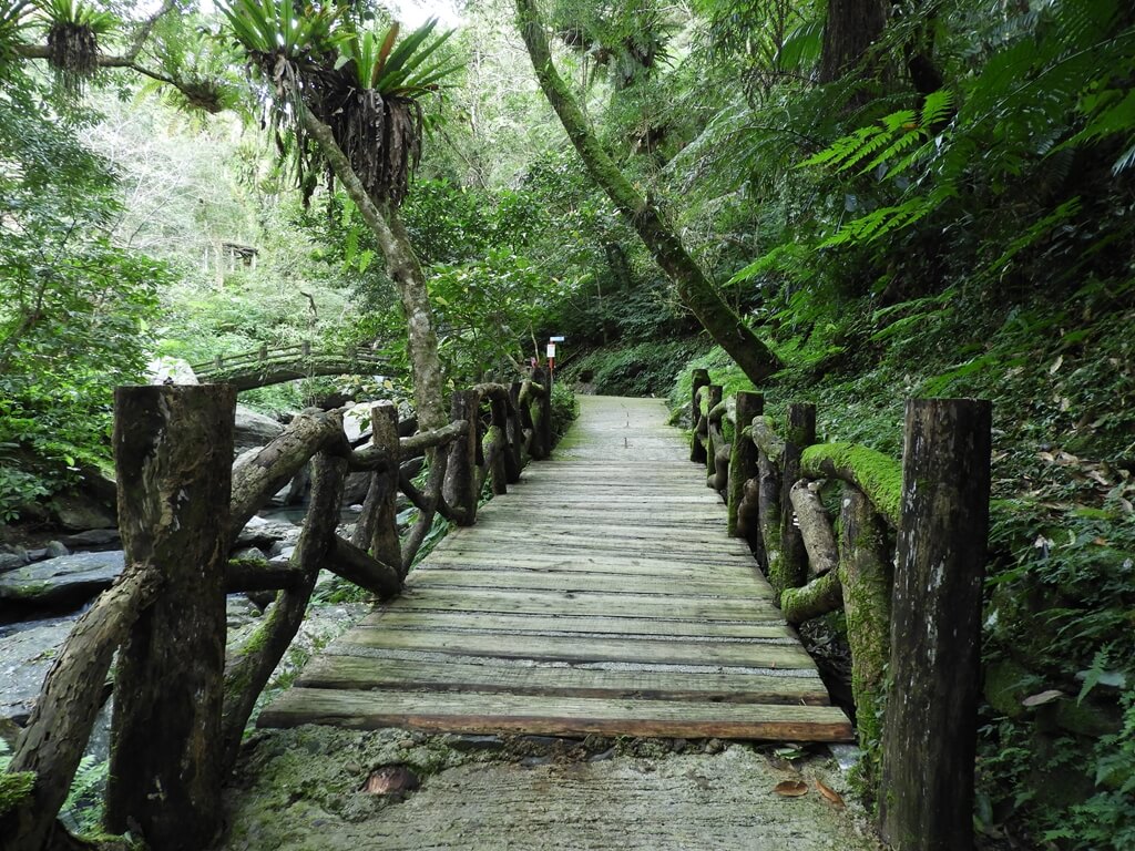 雲仙樂園的圖片：小小的木棧橋
