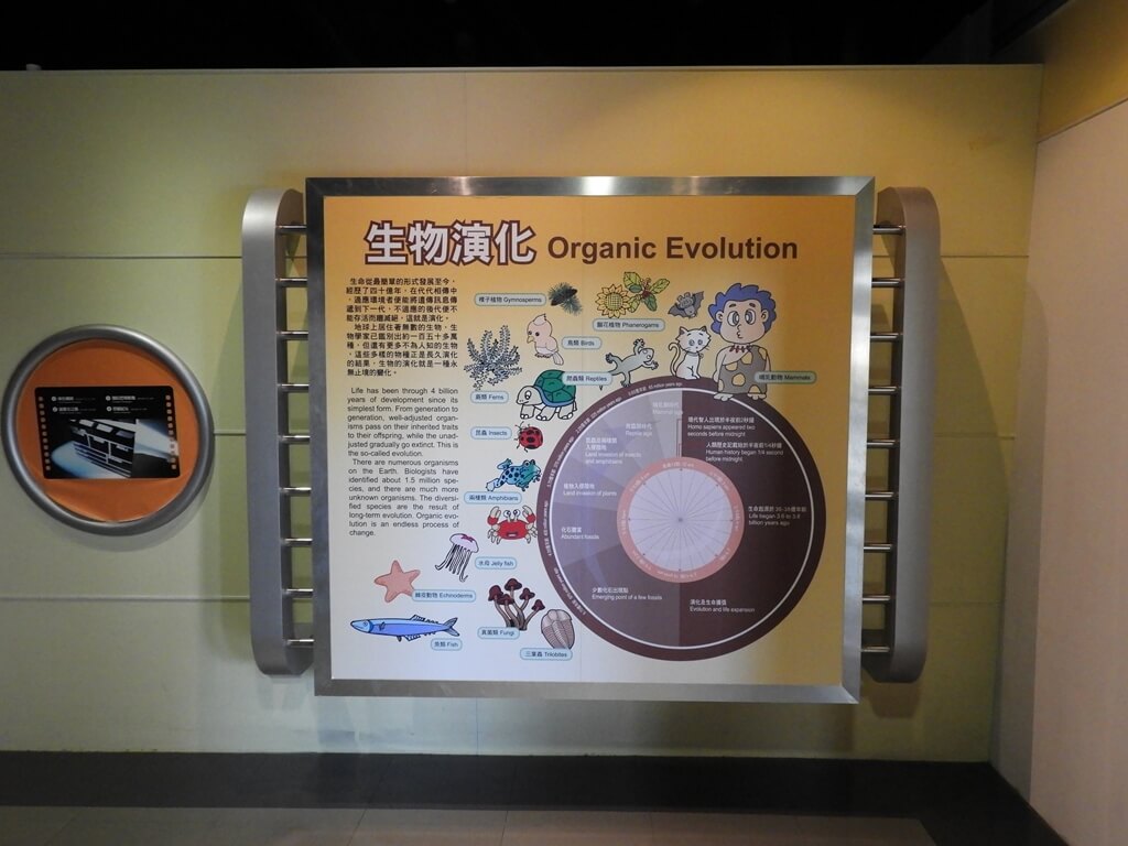 國立臺灣科學教育館的圖片：生物演化圓盤看板