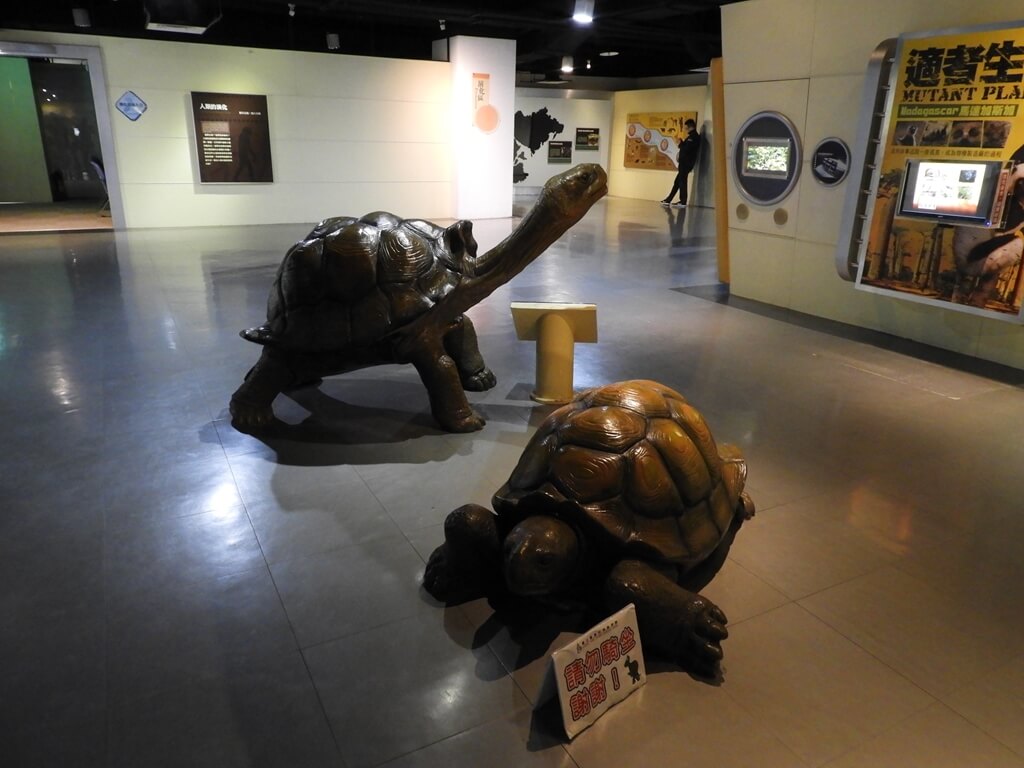 國立臺灣科學教育館的圖片：超大的象龜模型