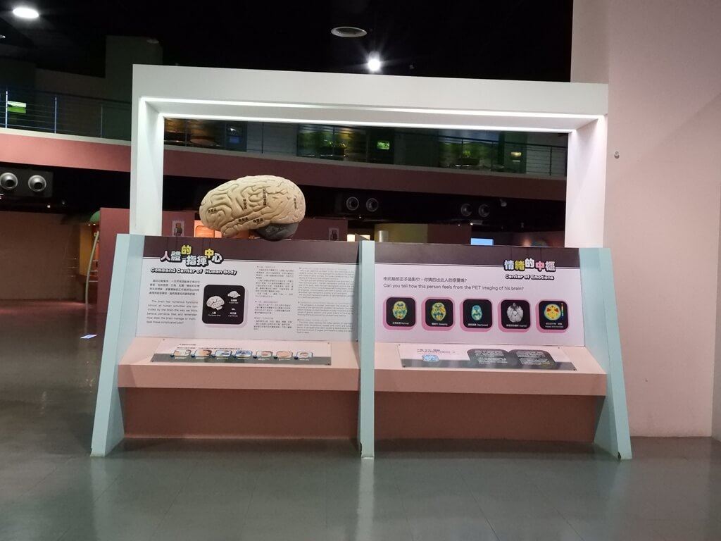 國立臺灣科學教育館的圖片：人類大腦的介紹