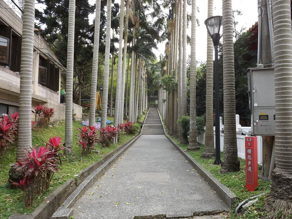 桃園市孔廟的圖片：桃園孔廟旁的水泥步道
