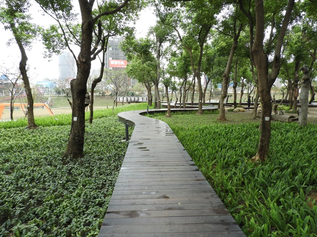 桃園風禾公園的圖片：森林漫遊記事（123659508）