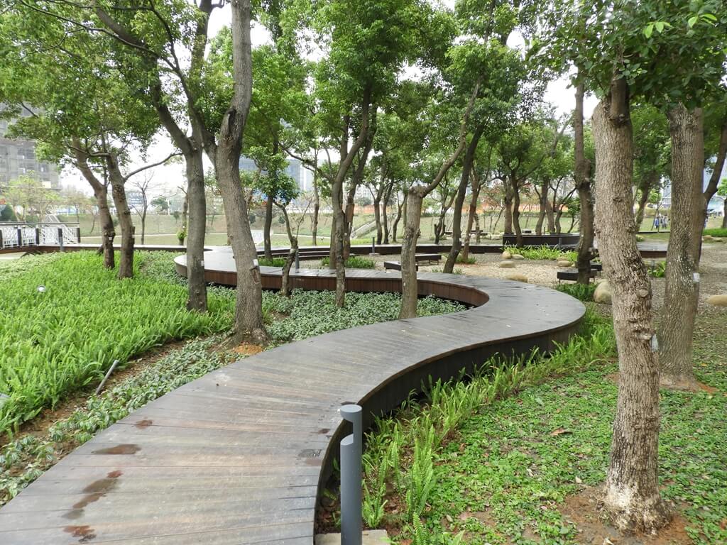 桃園風禾公園的圖片：森林漫遊記事（123659510）