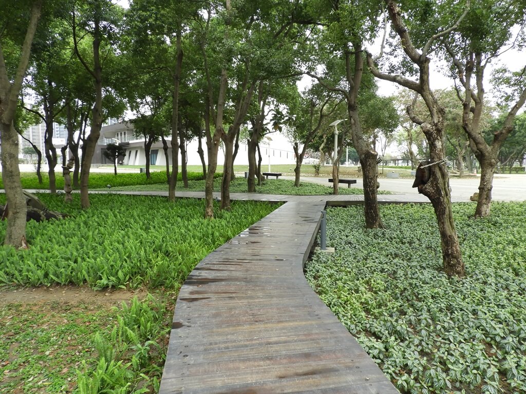 桃園風禾公園的圖片：森林漫遊記事（123659511）
