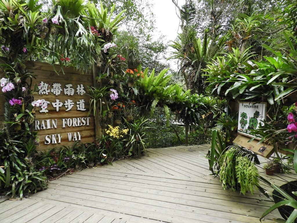 綠世界生態農場的圖片：熱帶雨林空中步道入口