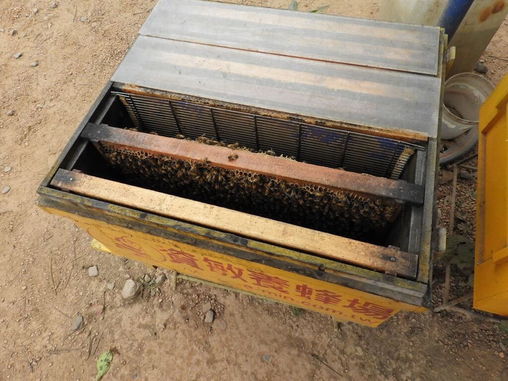 綠世界生態農場的圖片：木箱內的蜂蜜收集板