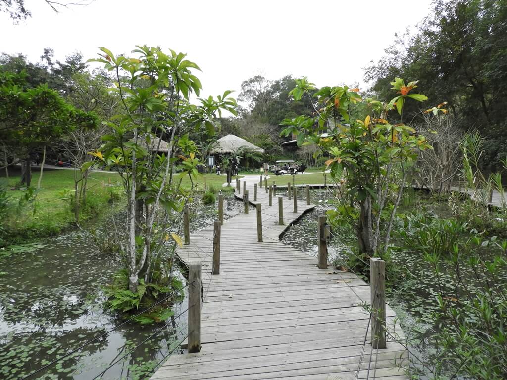 綠世界生態農場的圖片：水生植物園的木棧道