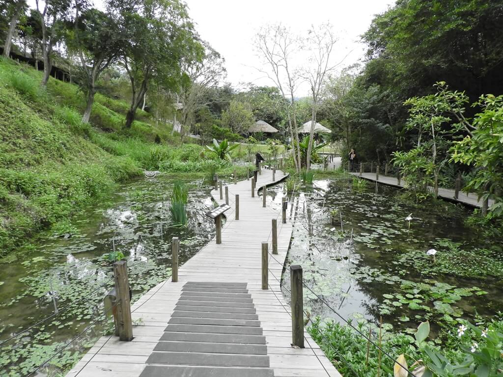 綠世界生態農場的圖片：水上蜿蜒的木棧道