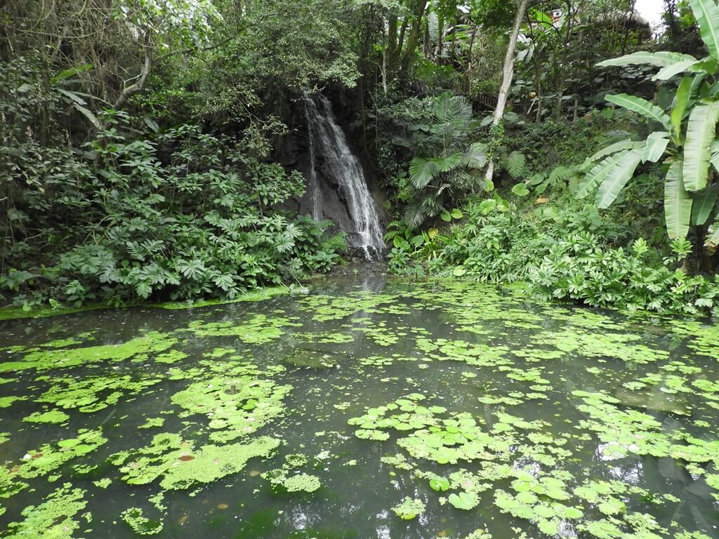 綠世界生態農場的圖片：水生植物園的小瀑布