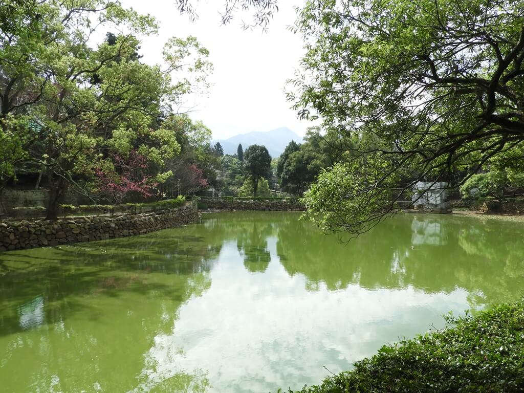 角板山風景區的圖片：寧靜且水面呈綠色的角板山生態水池