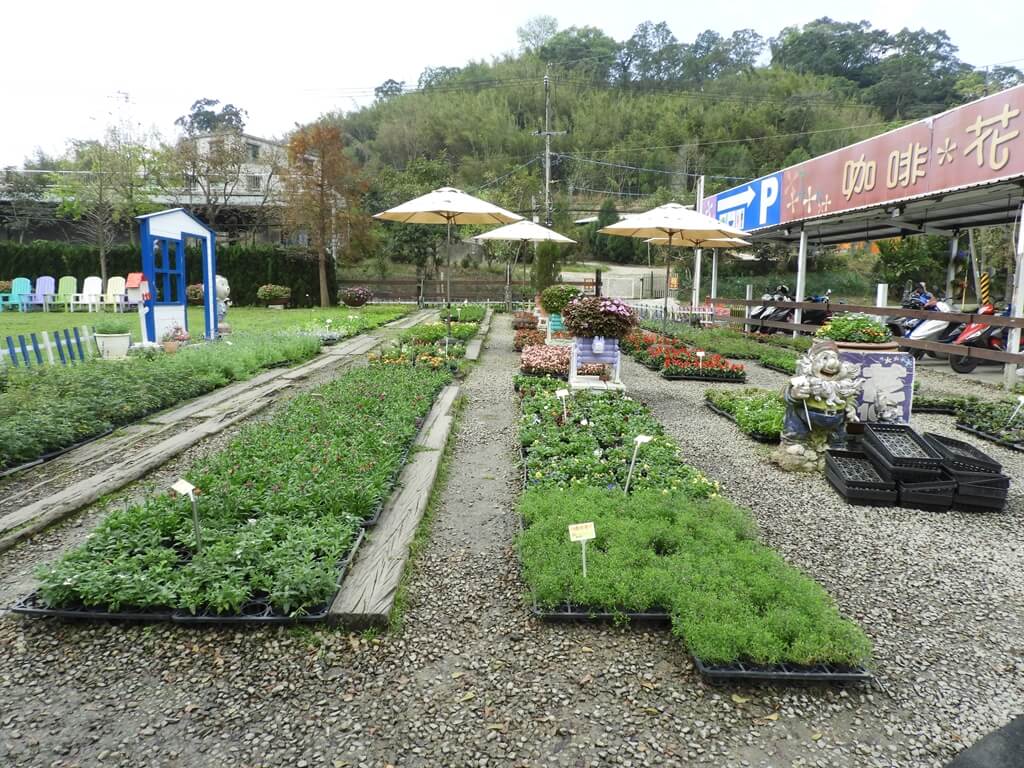 天御花園的圖片：入口旁的戶外草花、小盆栽販售區