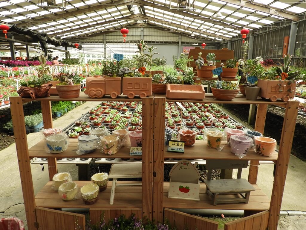 天御花園的圖片：展售品及造型小盆栽