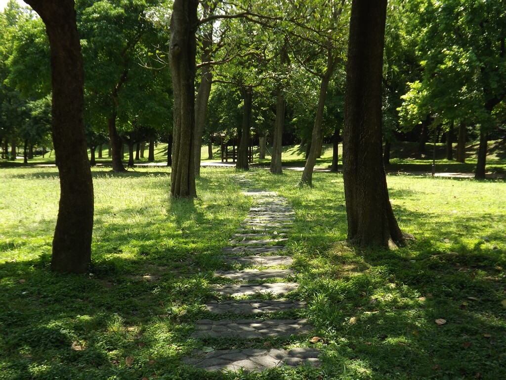 大溪埔頂公園的圖片：大樹間的石頭步道長滿了綠草