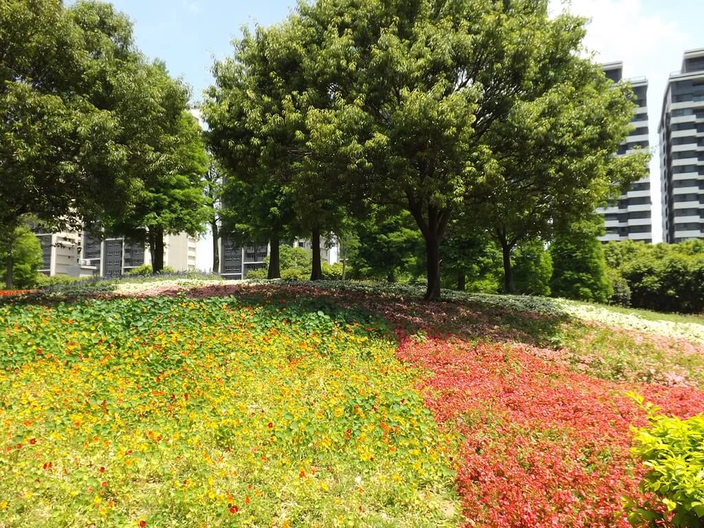 大溪埔頂公園的圖片：黃色、紅色草花圃（123659986）