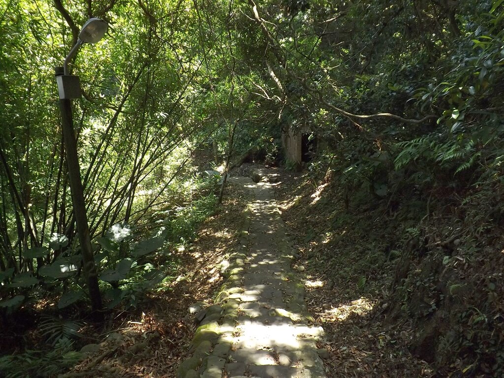 齋明寺古道的圖片：樹林間的古道走起來相當涼爽
